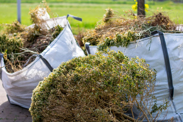 Best Demolition Debris Removal  in Mishawaka, IN